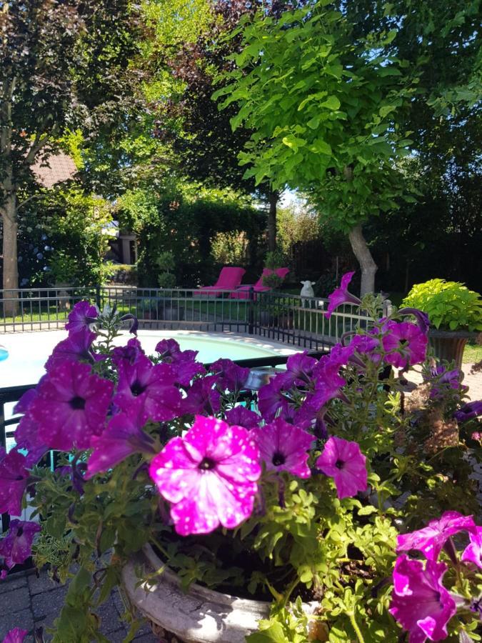 B&B Le Jardin NeerNeerpelt Esterno foto