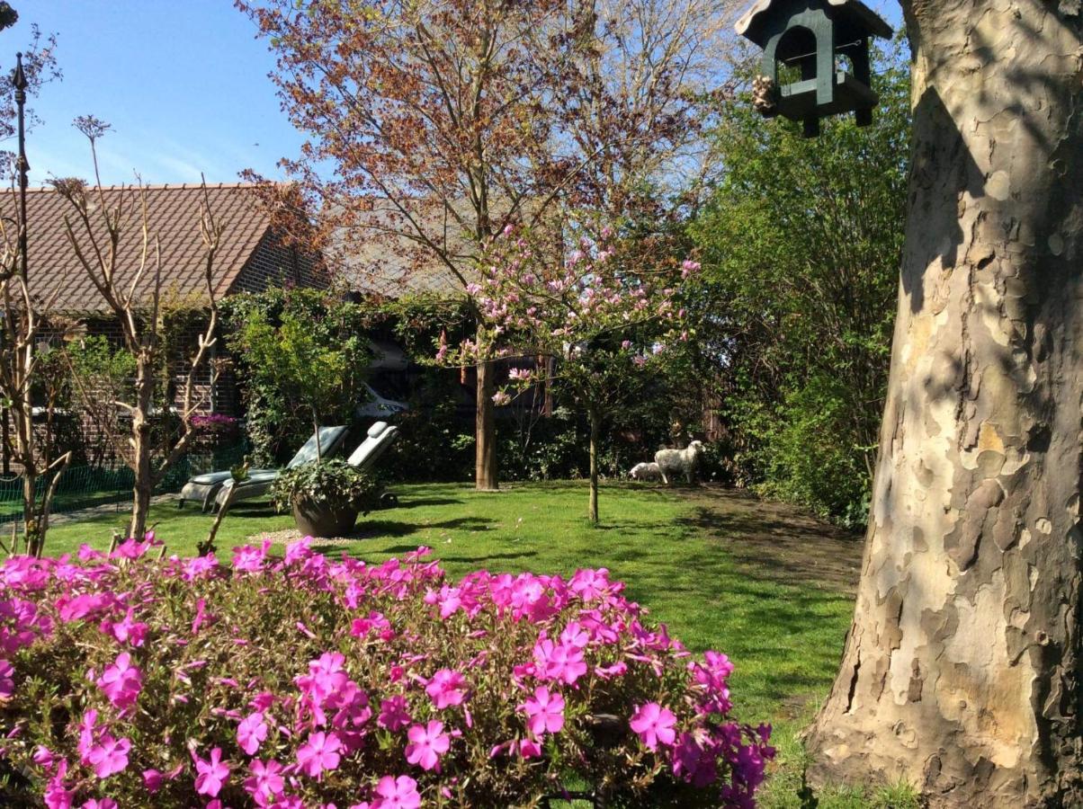 B&B Le Jardin NeerNeerpelt Esterno foto